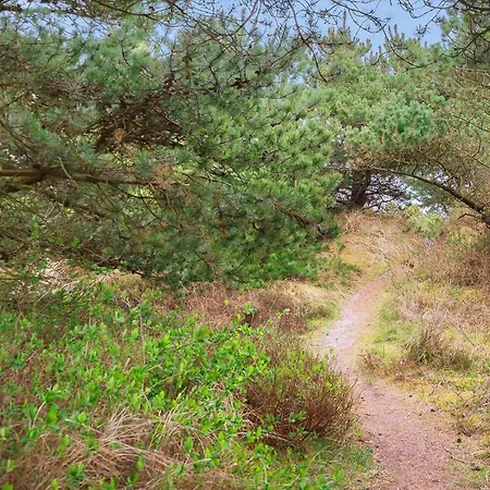 146-ringkobing-hvidbjergvej-23 * Søndervig
